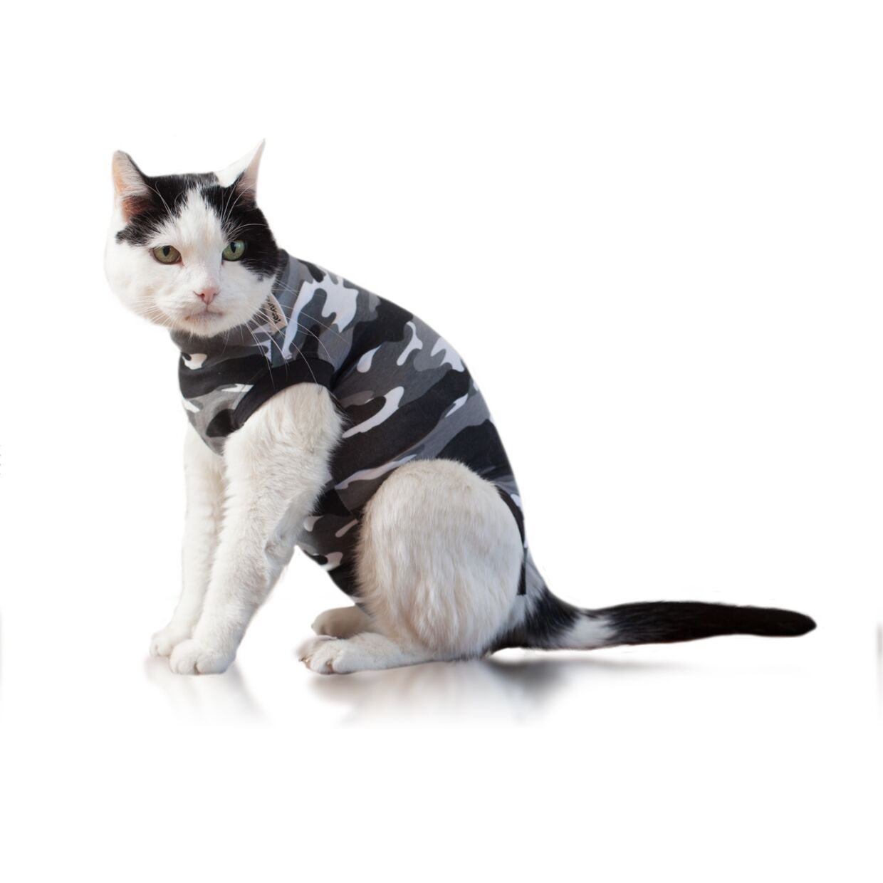 cat recovery suit near me