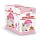 Royal Canin kitten - gravy