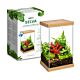 Selva planten terrarium