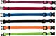 Puppy halsbandenset Bonte kleuren - Medium/Large