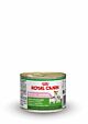 Royal Canin Babydog starter mousse