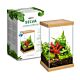 Selva planten terrarium